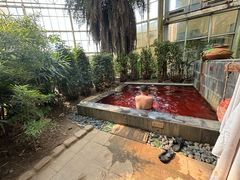 -仁爱团泊湖温泉中心