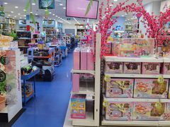 -TOYSRUS玩具反斗城(长沙德思勤店)
