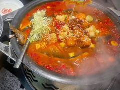 -探鱼·鲜青椒爽麻烤鱼(广州花都来又来店)