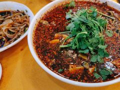 -胖大姐黄辣丁鱼庄(新津店)