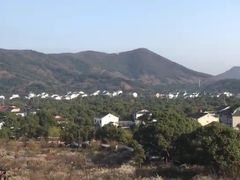 -香雪海
