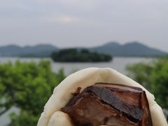 -楼外楼(西湖景区孤山路店)