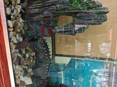 -尚岛私房菜(西方巷店)