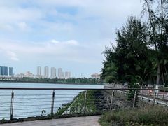 -万绿园