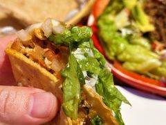 -TACOS by miumiu(地堡街店)