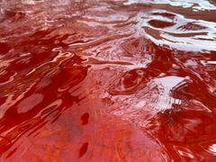 -春晖园度假酒店温泉