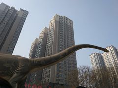 -陕西自然博物馆