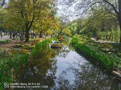 -上海共青森林公园