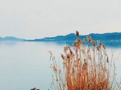 -东钱湖旅游度假区