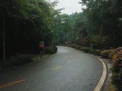 -铁山坪森林公园