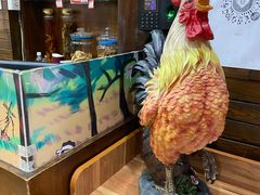 -张师傅参鸡汤店(高丽街店)
