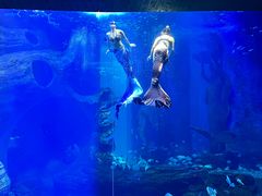 -多彩贵州城极地海洋世界