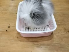-藦茜花园宠物主题亲子互动体验馆(国顺东路店)