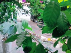 -豆舞咖啡(民乐路店)