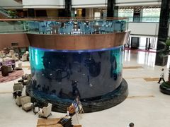 -OPEN開全日自助餐厅·牛肉火锅·海鲜(佛山希尔顿酒店)