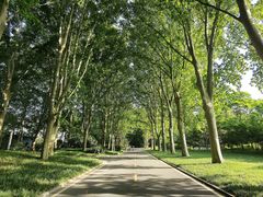 -河南省黄河迎宾馆