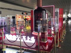 -石家庄正定国际机场-T2航站楼