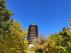 -玲珑塔公园