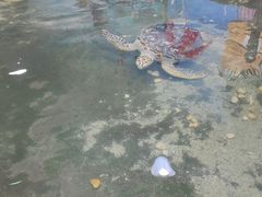 -嘉兴海底世界