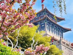 -济南喜来登酒店