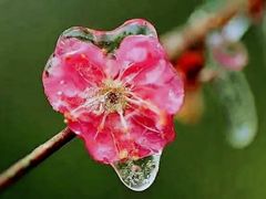-贵州省植物园