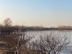 -东郊湿地公园