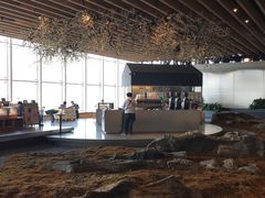 -Seesaw Coffee(朝阳大悦城店)