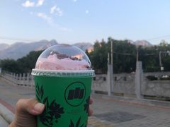 -雾与山茶(大禹城店)