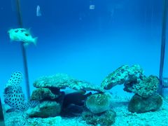-秦皇岛新澳海底世界