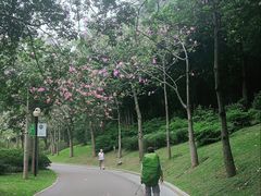 -云溪植物园