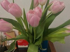 -循礼门鲜花花市(武汉循礼门店)