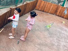 -杭州开元森泊度假乐园