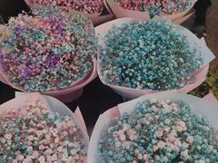 -双季花艺园艺市场(浦东店)