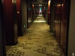 -常州环球恐龙城维景国际大酒店