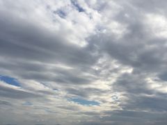 -玫瑰海岸文化旅游度假区