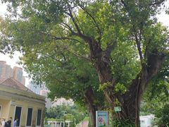 -龙环葡韵住宅式博物馆