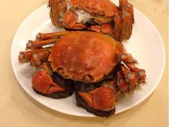 大闸蟹-王宝和酒家(黄浦店)