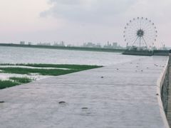 -奉贤海滩