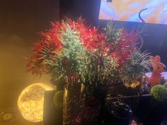 -水云阁·5D影院足浴·SPA(高新店)