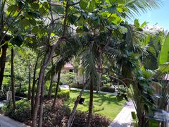 -海南清水湾莱佛士酒店