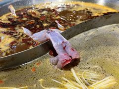 -铭记蛙小仙·活蛙畅享(CBD万达广场店)