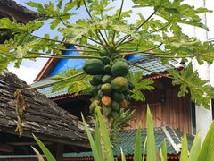 -湄公河秘制烤鱼(西双十贰城商业中心店)