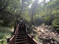 -洛阳花果山景区