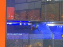 -虾铺子龙虾·私房菜(金源花苑店)