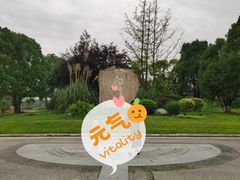 -白鹭湾湿地公园