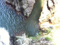 iphone_upload_pic-龙湾潭国家森林公园