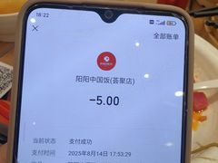 -阳阳中国饭(北京荟聚店)