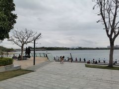 -深圳人才公园