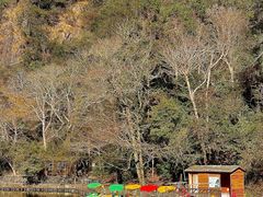 -龙湾潭国家森林公园