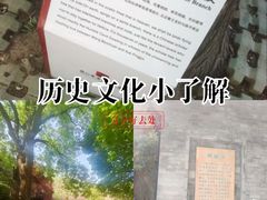-西安曲江寒窑遗址公园